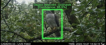 AI技術・機械学習イメージ